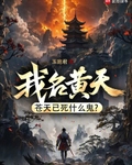 我名黃天,蒼天已死什麼鬼?